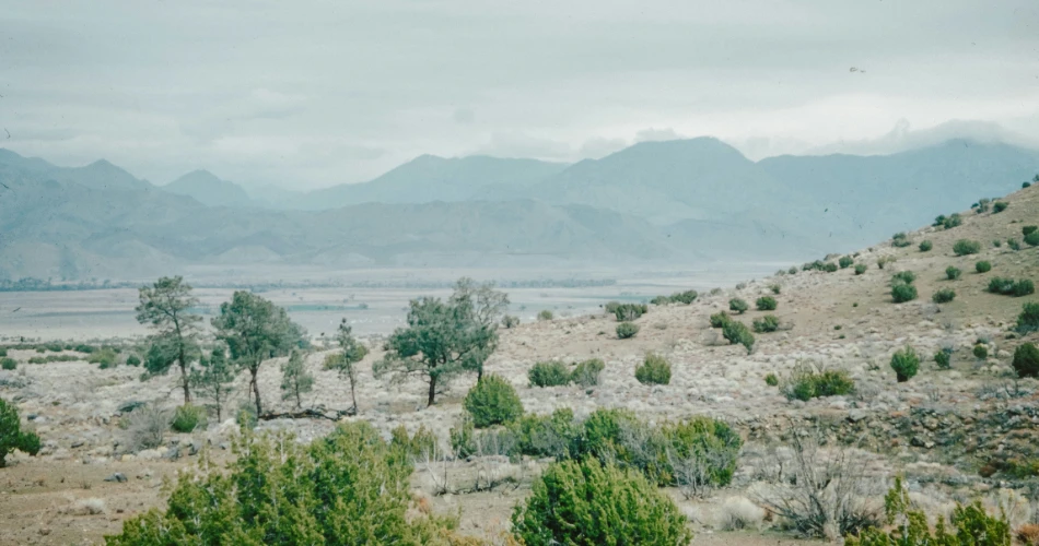 10 Best Hiking Trails in Lake Tahoe