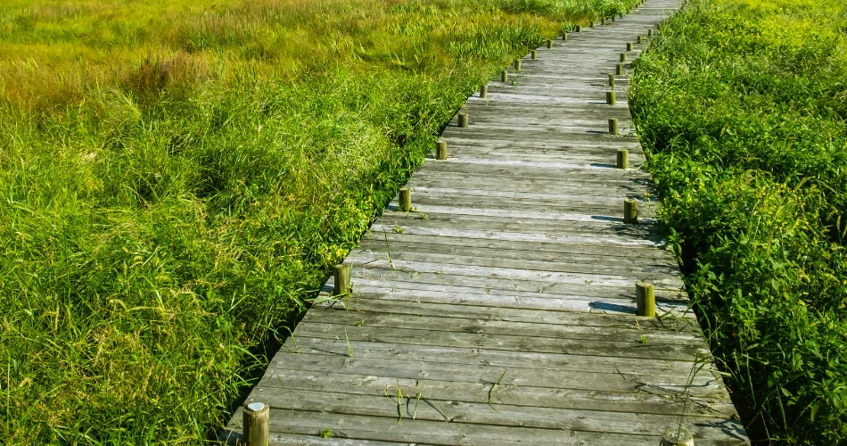 10 Best Hiking Trails in Lake Tahoe