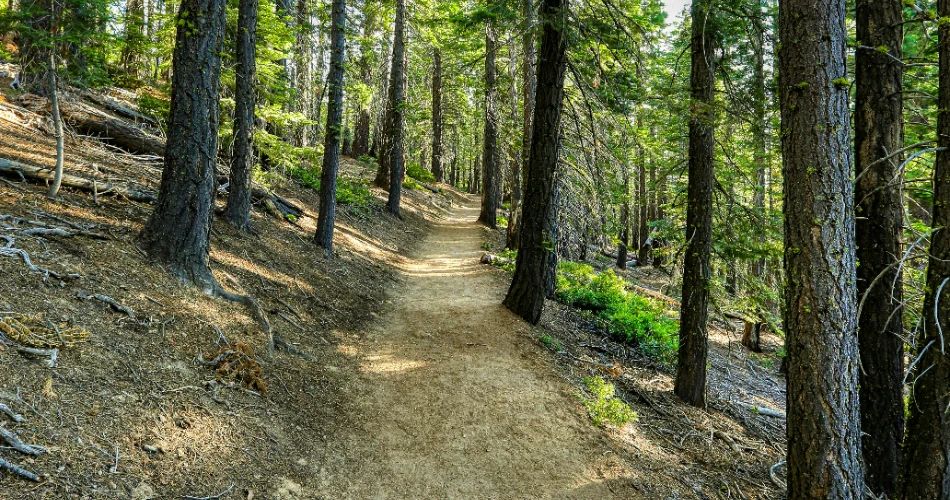 10 Best Hiking Trails in Lake Tahoe