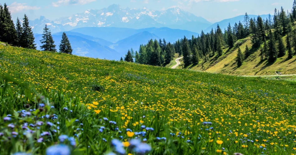 10 Things to Do in Lake Tahoe in Winter