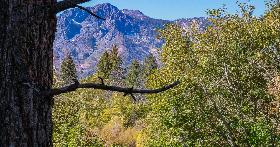 10 Top Rated Things to Do in Lake Tahoe USA