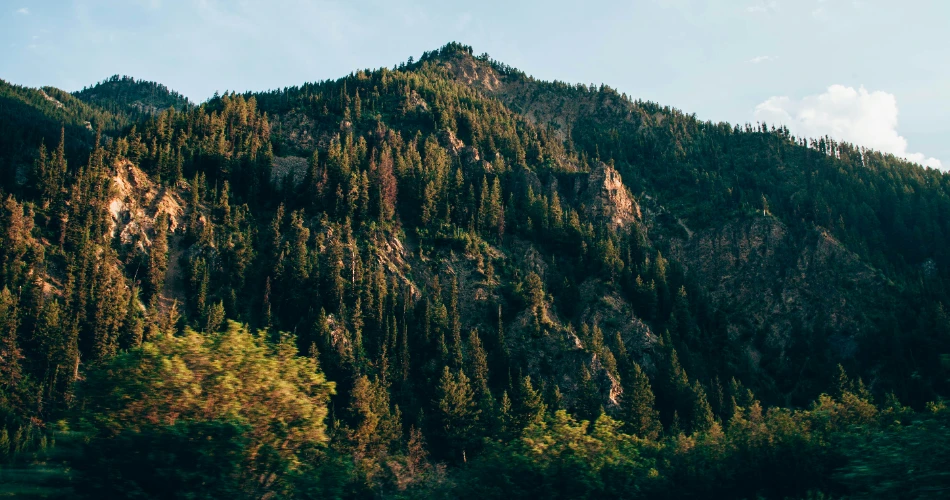 10 Top Rated Things to Do in Lake Tahoe USA