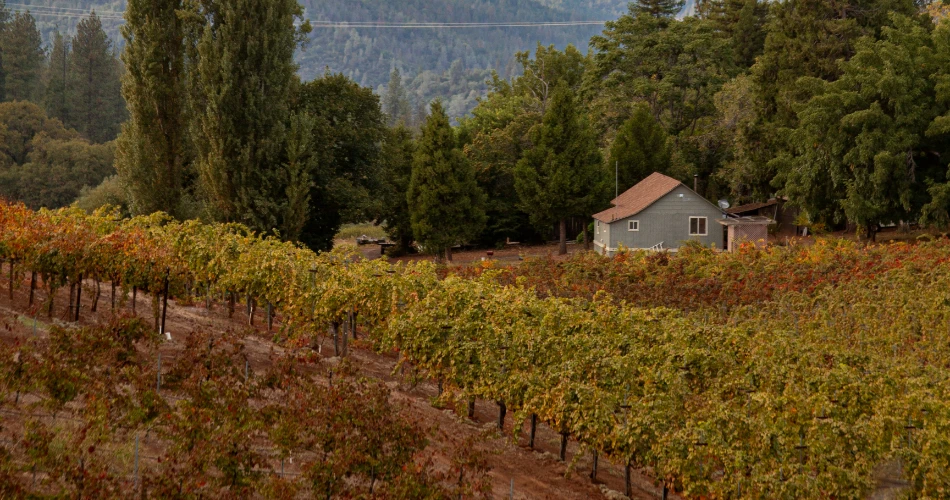 10 Towns and Villages to Visit Around Lake Tahoe